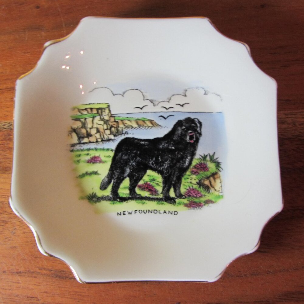 newfoundland dog plate vintage taylor & kent (W4899)